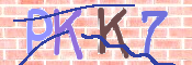 キャプチャ画像