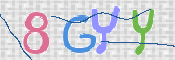 キャプチャ画像