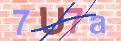キャプチャ画像