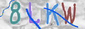 キャプチャ画像