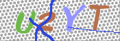 キャプチャ画像