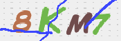 キャプチャ画像