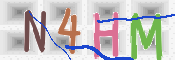 キャプチャ画像