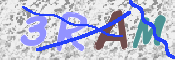 キャプチャ画像