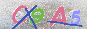 キャプチャ画像