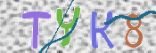 キャプチャ画像