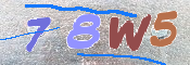 キャプチャ画像