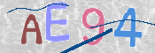 キャプチャ画像