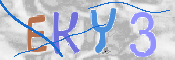 キャプチャ画像