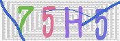 キャプチャ画像