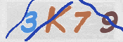 キャプチャ画像