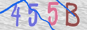 キャプチャ画像