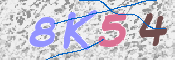 キャプチャ画像