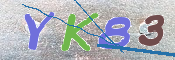 キャプチャ画像