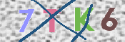 キャプチャ画像
