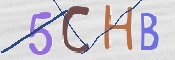 キャプチャ画像
