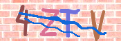 キャプチャ画像