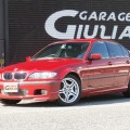 s13404-226-0.jpg